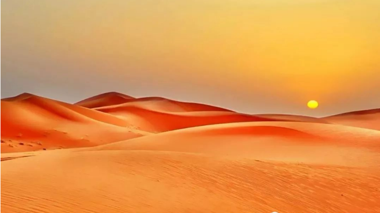 向境外支付的房屋租金，需要扣缴企业所得税吗？