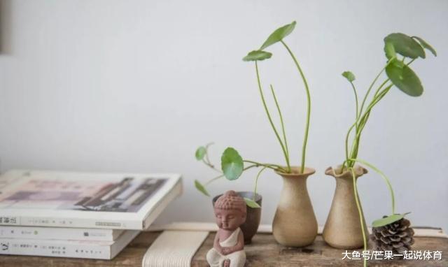 取了70个快递，农村姑娘让出租屋变“新房”！房东：缺男朋友吗？