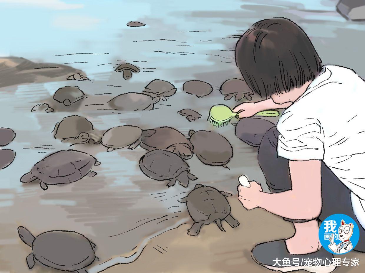 一群乌龟整齐窝在河边，女子上前一看：小日子过得挺滋润呀