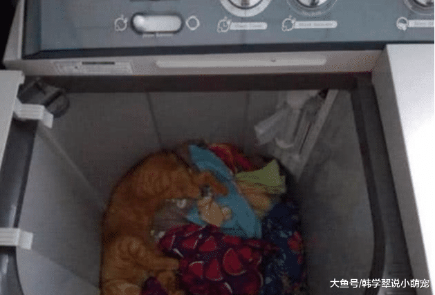 洗完衣服忘记拿去晾，半小时后想起时，主人低头一看笑得合不拢嘴