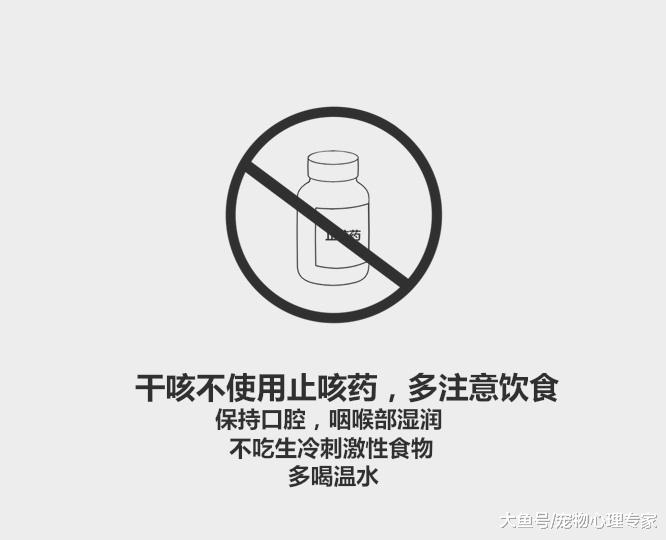 59秒冷盘点：猫咪咳嗽原因分两种，治疗方法也不同，先诊断很重要