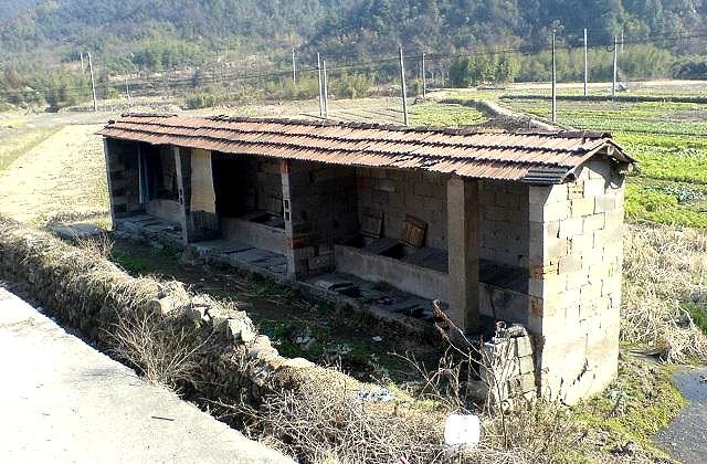 85后年轻人：习惯了城市，回到农村才发现，上厕所是我的硬伤