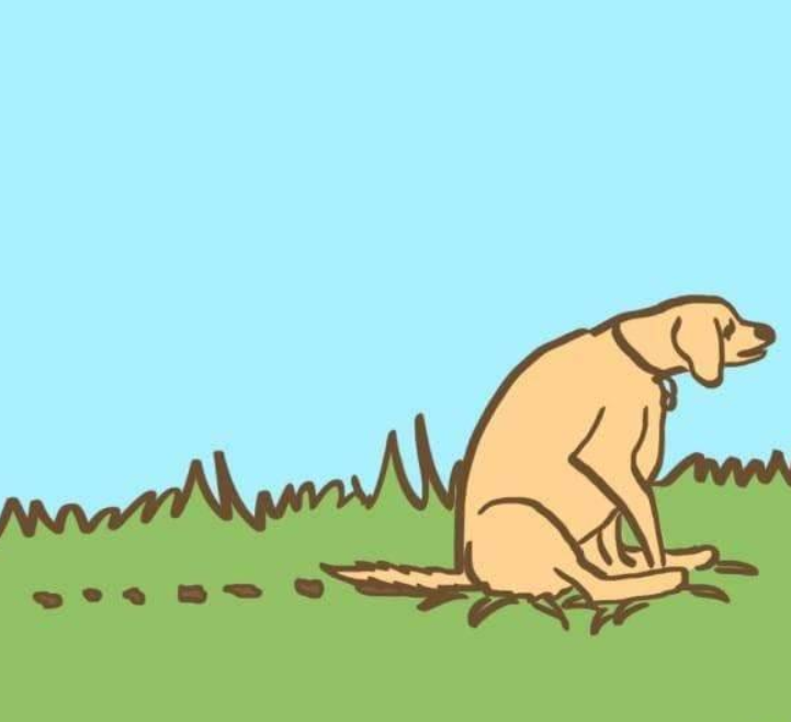 铲屎官不知道的8个狗狗便便古怪习惯，值得你了解！