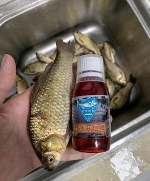 科学认证！鲫鱼“克星”终于研究问世，用几滴，鲫鱼钓起一大片