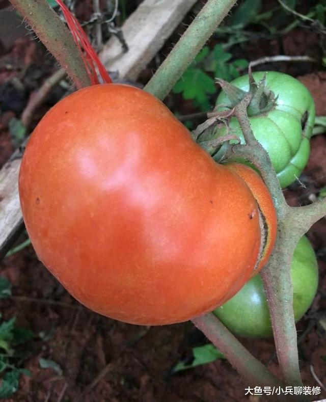 晒晒我家4层小别墅，占地面积600平，光装修花了200多万！