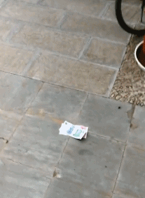 爆笑GIF：兄弟，你走路能不能稳一点，晃得我都看不清手机屏幕了