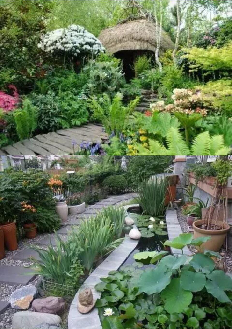 回老家造个院子吧! 来承载我们对美好生活的向往