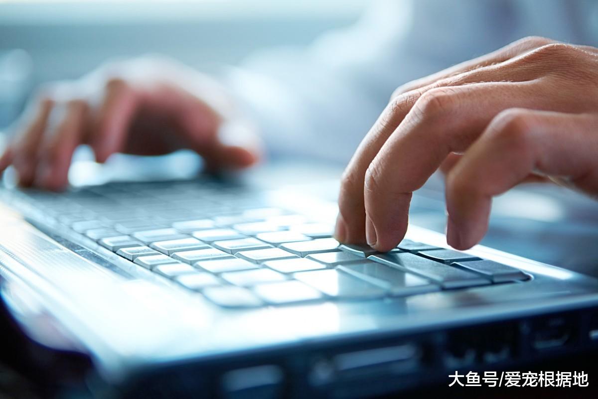 暖心大姐买肉串喂流浪狗，竟被质疑炫富，大姐怒怼键盘侠