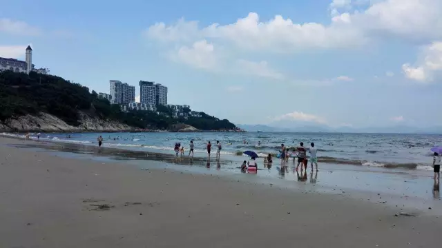 【逃城】猫的伊甸园