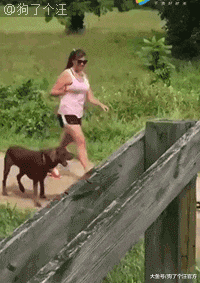 学校表白墙直播狗狗安全，这是一群什么天使啊