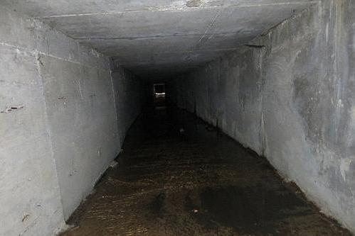 史上最尴尬的越狱，600人挖百米通道，逃亡时抬头一看傻了