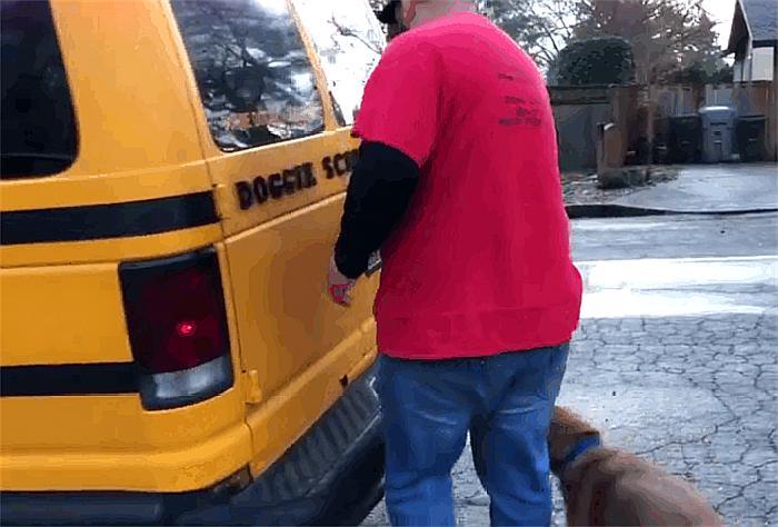 与其把狗关在家，不如送它去“上学”，“狗狗校车”在国外