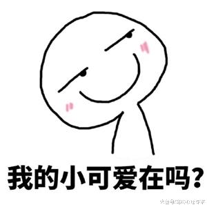 给猫咪洗澡，中途出去拿了条毛巾，回来一看猫咪的新造型笑到岔气