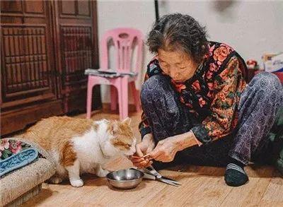 被奶奶带大的橘猫, 就是和别人家的不一样哈