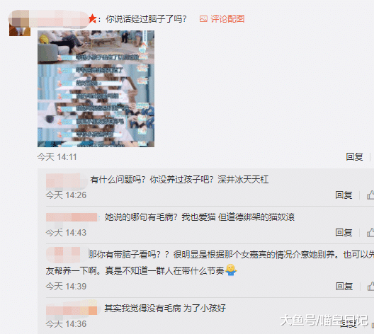 应采儿遭舆论攻击，伪爱猫人士，请不要以猫的名义来倾倒网络垃圾