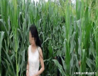 美女田地里解手，发现奇怪石头，专家鉴定后却占为己有