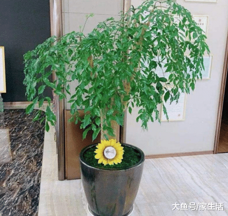 床头位置不要空着了，回家悄悄放这3样东西，财神不久就找上门