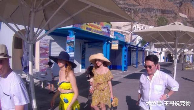 “千亿儿媳”徐子淇与老公出游，李家诚三步一回头，肚子成亮点