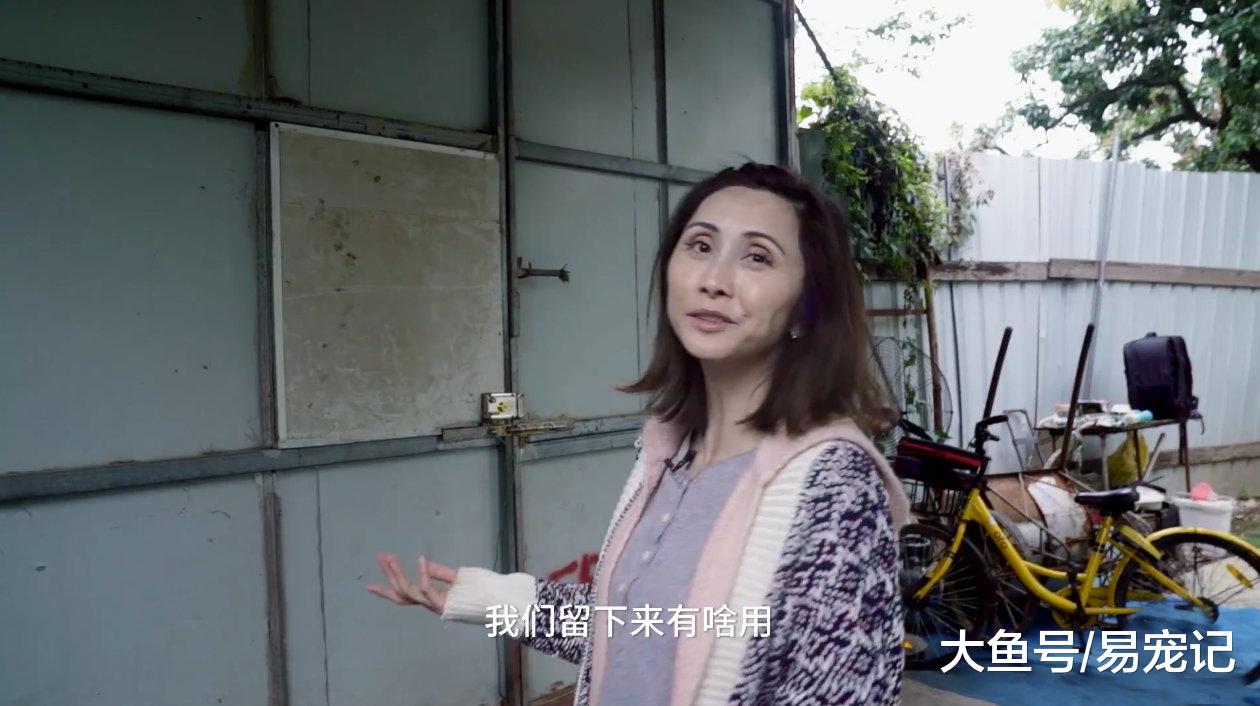 海归女孩辞去500强工作，救助32只流浪狗，给它们找新家