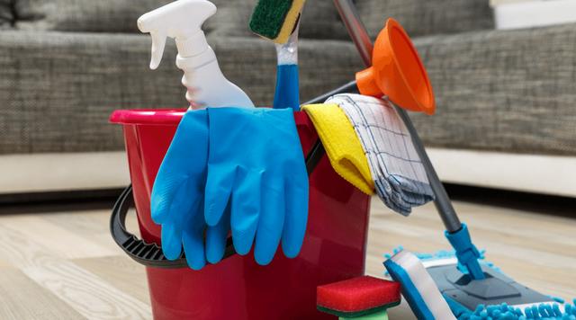 狗狗乱拉，搞得一屋子都是狗尿味？4步清理跟狗尿味说再见