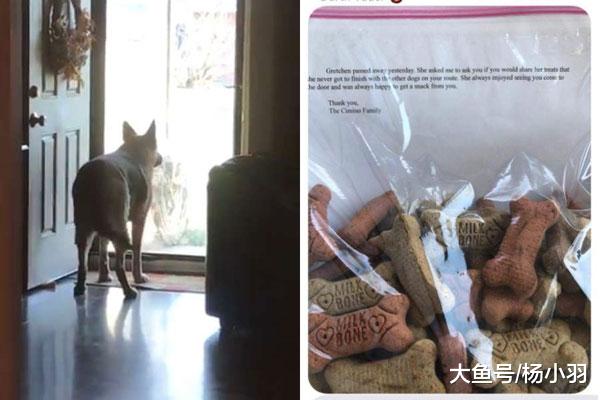 狗狗从攻击邮差到每天翘首期盼，不久邮差收到心碎回信“把爱延续”