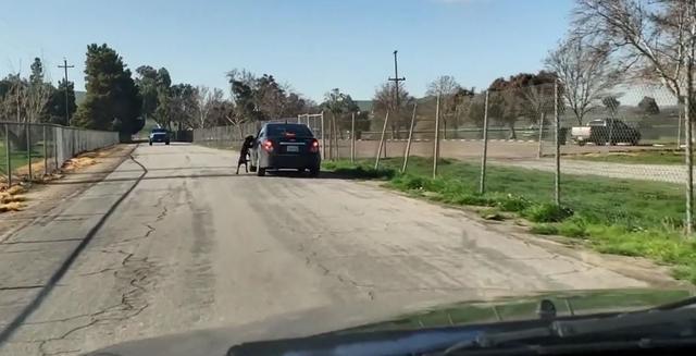 無良主人拋棄狗狗，狗狗狂追車尾試圖挽回，幸得路人拍下并曝光