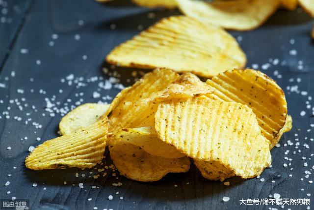 狗狗夏天胃口不好怎么办？5个方法，帮你解决这个问题