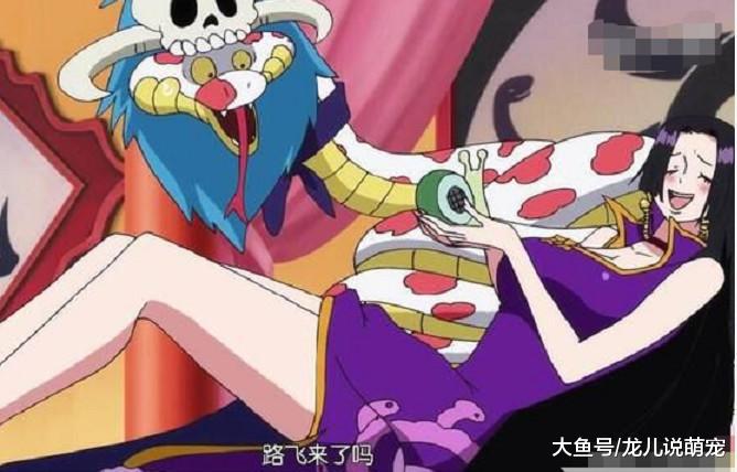 海贼王: 在动漫界，也实锤最萌身高差，看看这对，小编不服啊