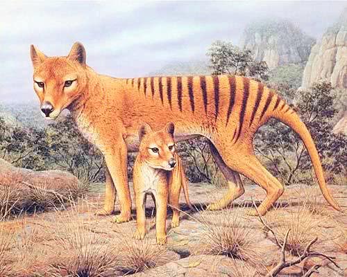 史上“最惨”生物，被误认为是杀羊贼，最后一只还被太阳晒死