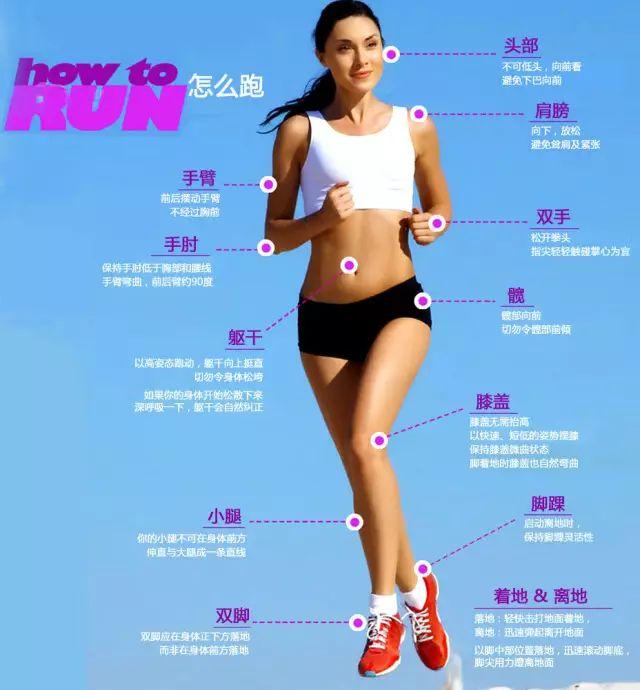跑者最想了解的跑步基本知识，这篇全囊括了