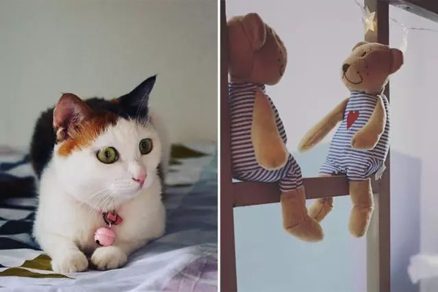 超励志的合租姑娘，爆改出租房到人生赢家的旅程！