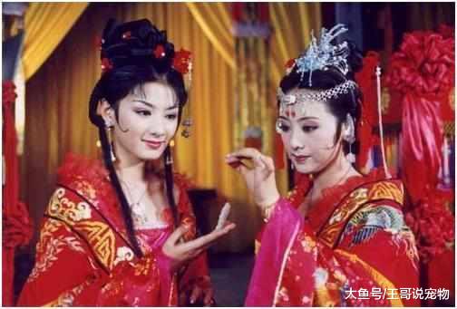 同样是出演小燕子，赵薇红遍亚洲，而她却只能靠摆地摊勉强度日