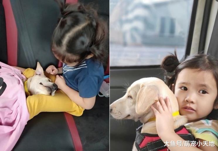 儿子运动服破大洞！妈妈才刚举起，凶手汪就心虚的躲桌下偷看