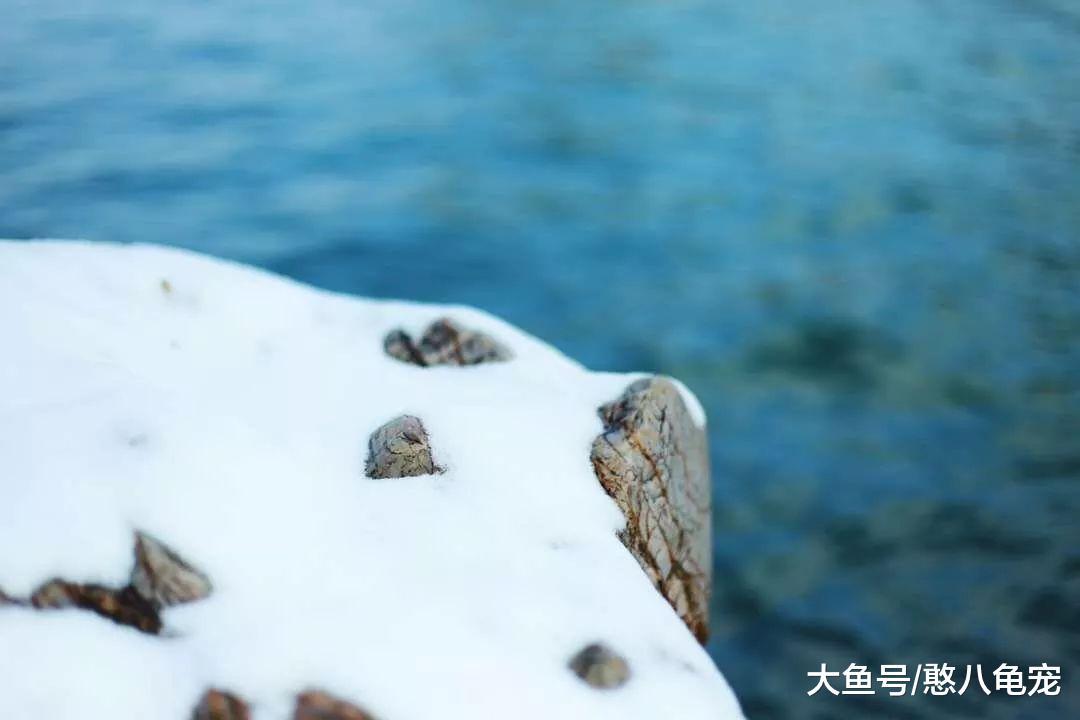 江南小隐: 陪你去南京看雪
