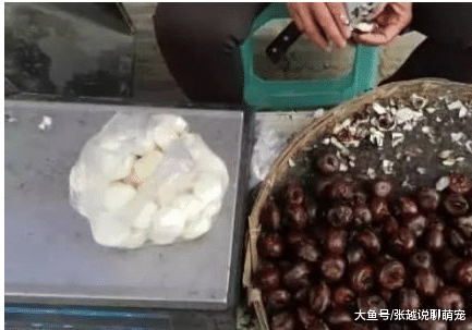 又黑又丑的它, 却是果蔬全能王! 路边就有吃