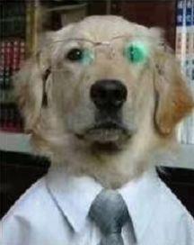 听说装饰是装修公司表情图，哈哈哈~~真的吗？