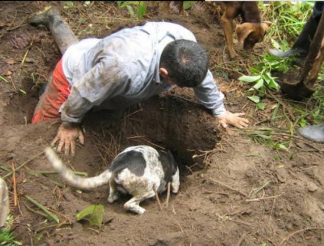 明明院外没有人，在农村夜里家狗却不停的狂吠，这是为啥？恍然大悟