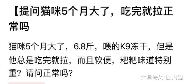 辟谣：猫咪吃越贵的猫粮越好？别只盲目相信品牌