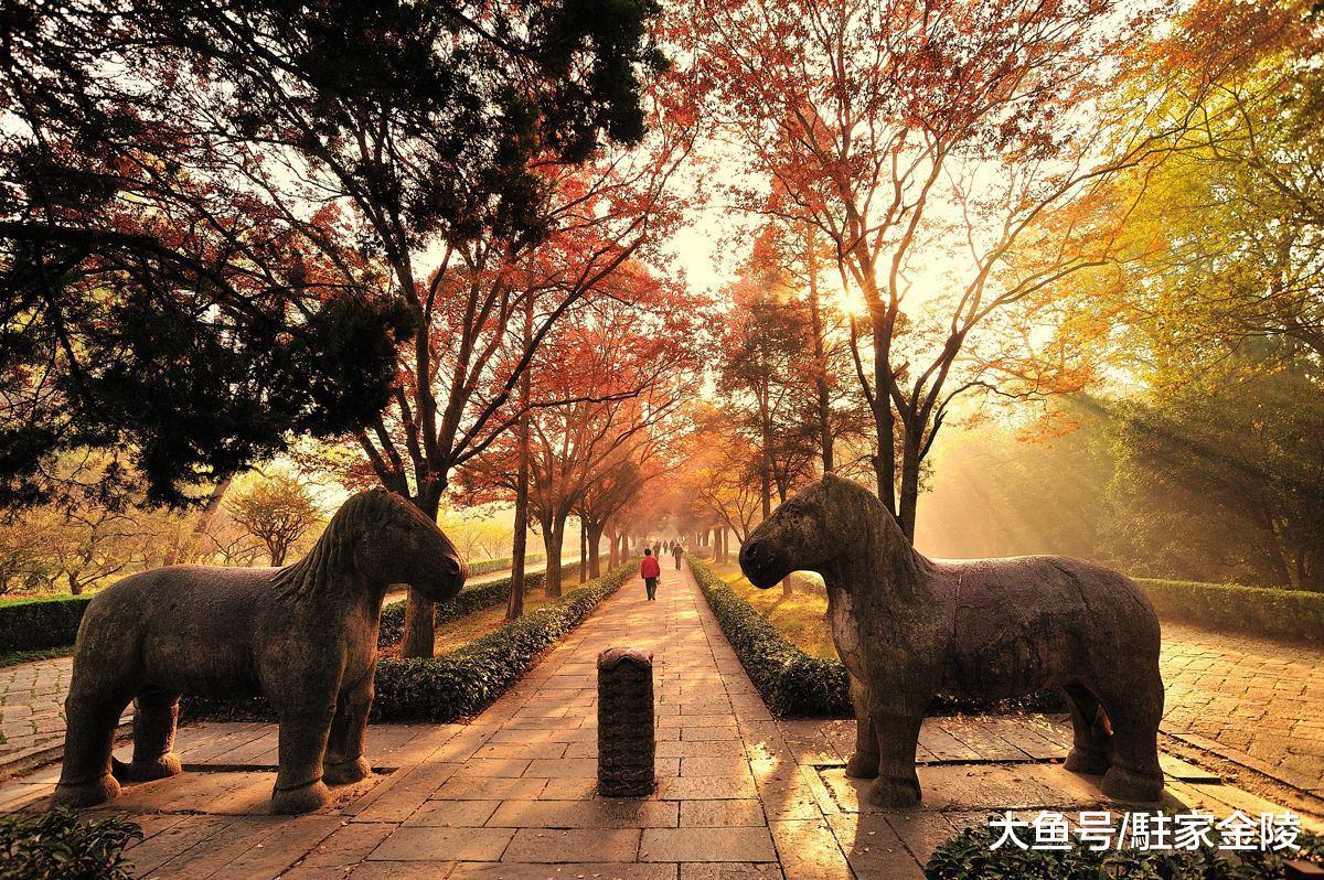 2018年城市GDP排行榜出爐，前十不入的南京難道只剩房價高？