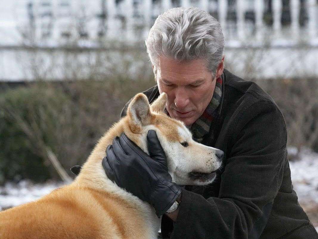 生活很艰辛，它确实你心中落不下的小太阳