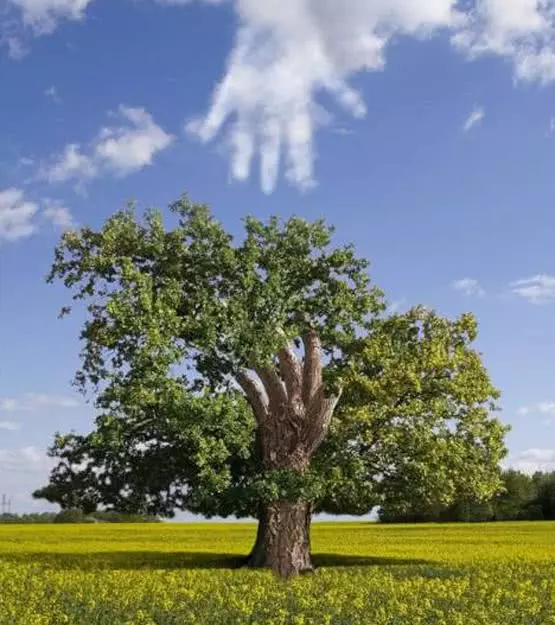一组神话般的照片, 居然还不是PS出来的, 包你没看过