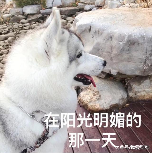 买的时候说这房可以用十年, 结果过了两个周, 网友: 买房需谨慎!