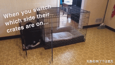 这是学校里最受欢迎的男人