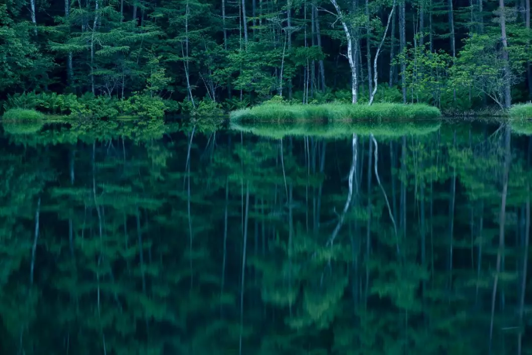 初秋时节，地产界首个轻食主义正在呈上