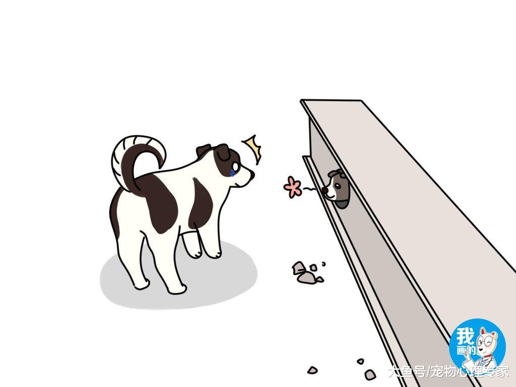 工地上听见奶狗叫，男子带着狗原地愣了半天才看到：大家来找茬