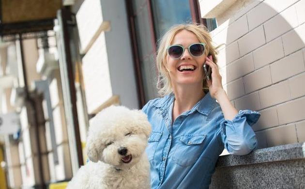 純種比熊犬都有的“5大特征”，你家有嗎？