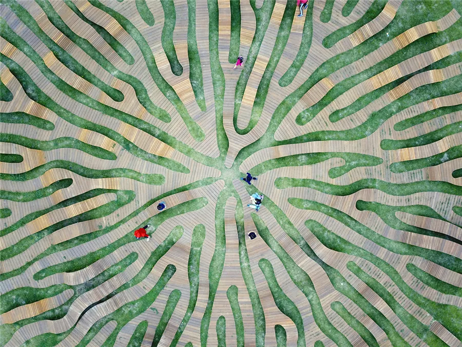 猜猜这些艺术装置，它们的灵感原型来源哪里？