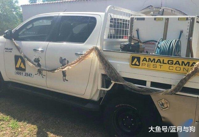 妻子阁楼养另一户人家40年之久，丈夫无意间发现，直接选择离婚