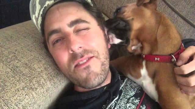 狗狗舔人很常见，但舔耳朵又是怎么回事？揭秘狗狗舔耳朵五大原因