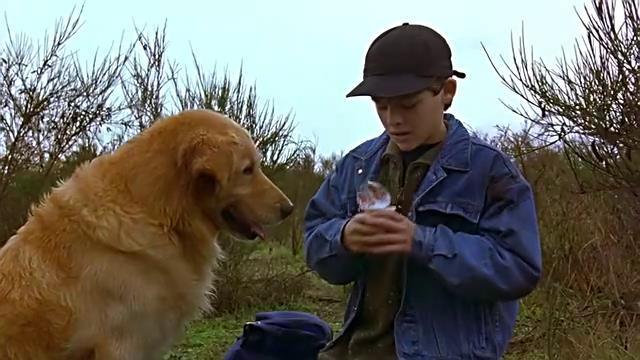 追忆童年, 有狗狗陪伴成长